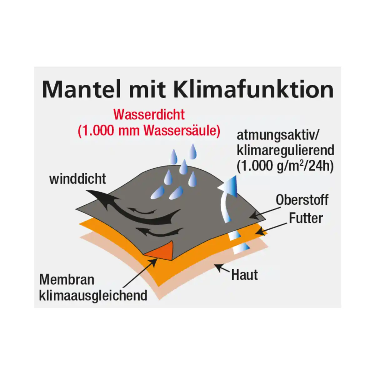 Bild 4 von Ellenor Modischer Softshell-Mantel