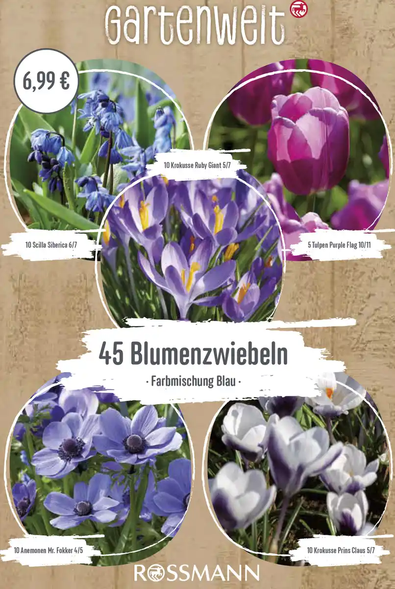 Bild 1 von GARTENWELT Premium Box Bienen und Schmetterlinge Kollektion Blau