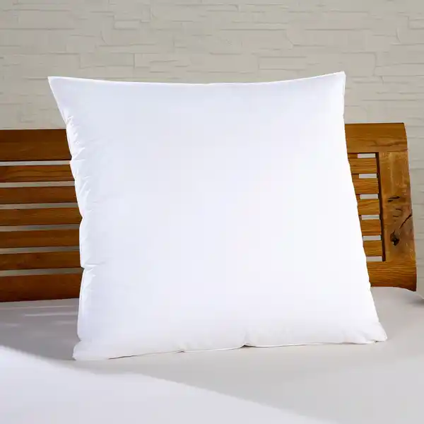 Bild 1 von Kopfkissen mit Federn und Daunen