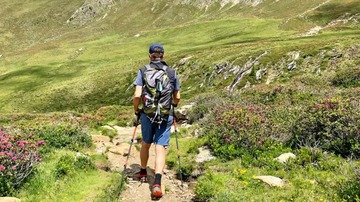 Bild 1 von Eigene Anreise Italien - Südtirol: Wanderspaß von Waalwegen bis zum Knottnkino