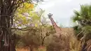 Bild 1 von Rundreisen Sansibar & Tansania: Inselträume und Safariabenteuer in Ostafrika