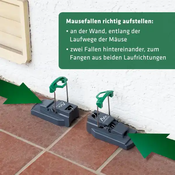 Bild 2 von Maus-Präzisions-Falle 2er Set