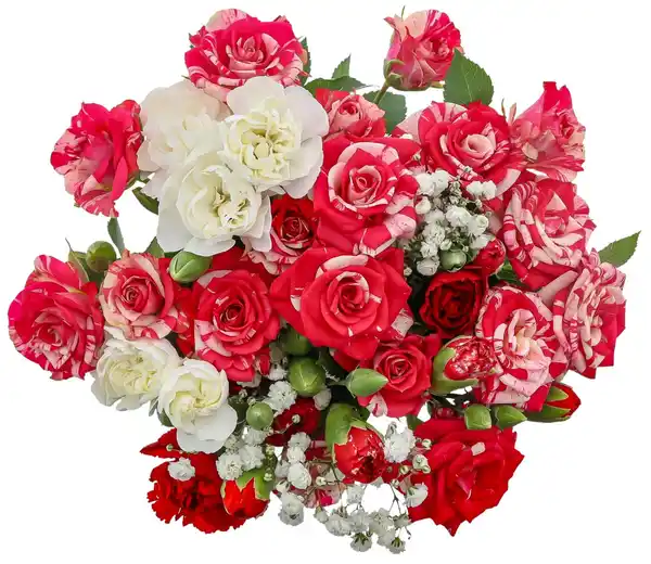 Bild 3 von Nelken-Sprayrosenstrauß