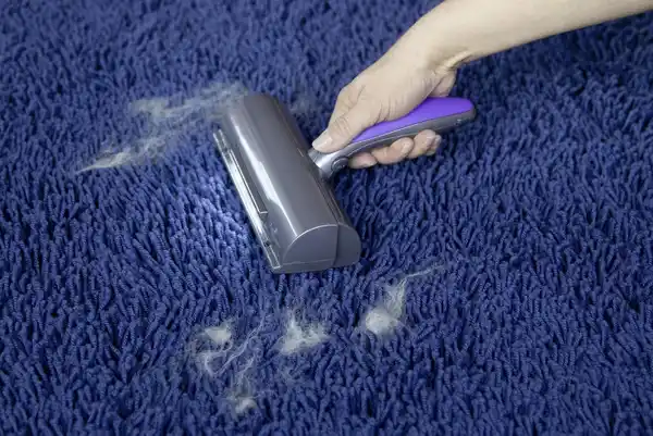 Bild 2 von FurDaddy Deluxe Tierhaarentferner