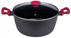 FACKELMANN Kochtopf »Astral« Ø 28 cm