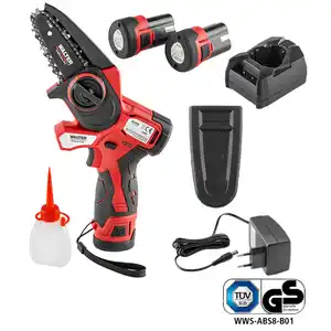 12 V Li-Ion Akku Entaster Brushles inkl. 2 Akkus