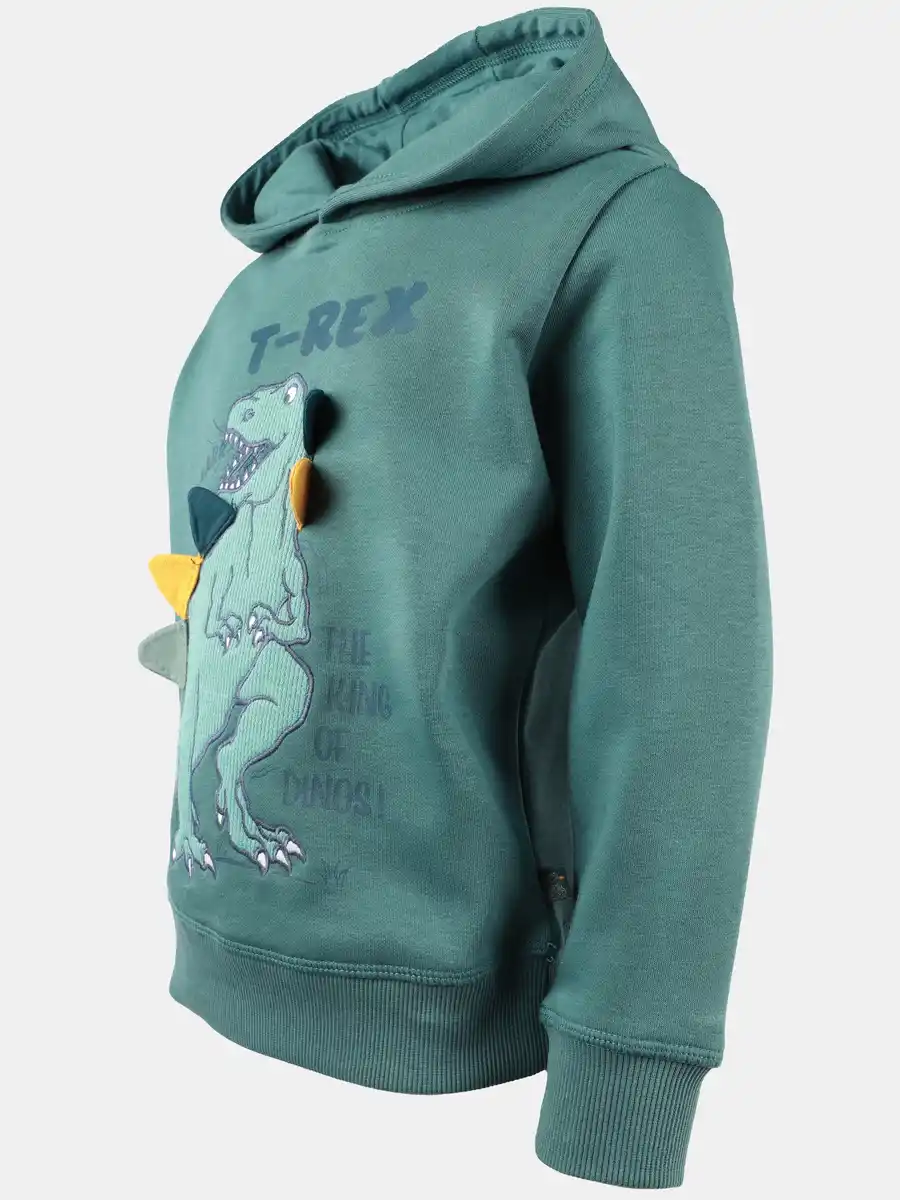 Bild 3 von Jungen Sweat-Hoodie mit Dinomotiv Grün