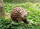 Bild 1 von Dekofigur Igel in Holzoptik 21x33cm