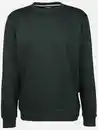 Bild 1 von Herren Sweatshirt in melierter Optik Grün