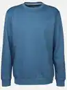 Bild 1 von Herren Sweatshirt in melierter Optik Blau