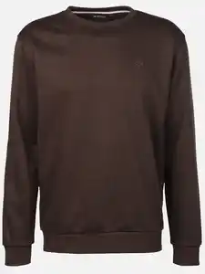 Herren Sweatshirt in melierter Optik Braun