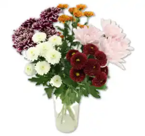 Chrysanthemenstrauß