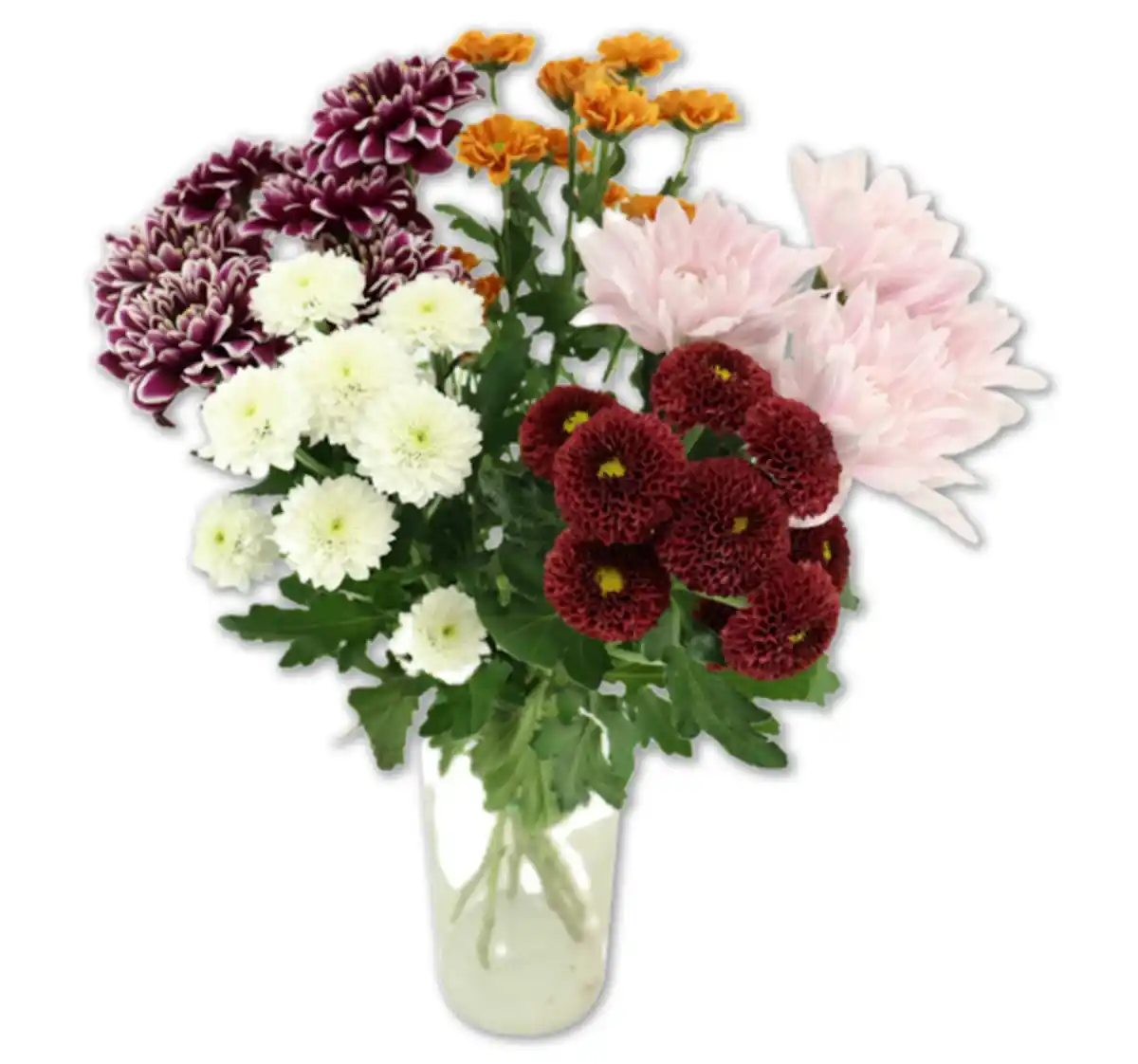 Bild 1 von Chrysanthemenstrauß