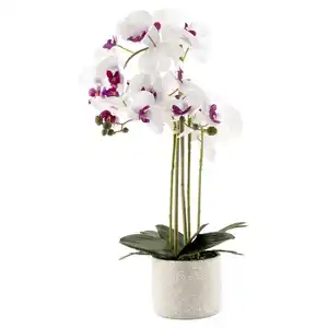 HOME CREATION Naturgetreue Orchidee