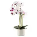 Bild 1 von HOME CREATION Naturgetreue Orchidee