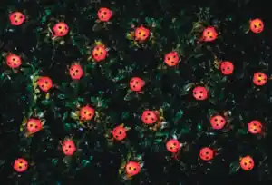 Solar Lichterkette 30LED Marienkäfer