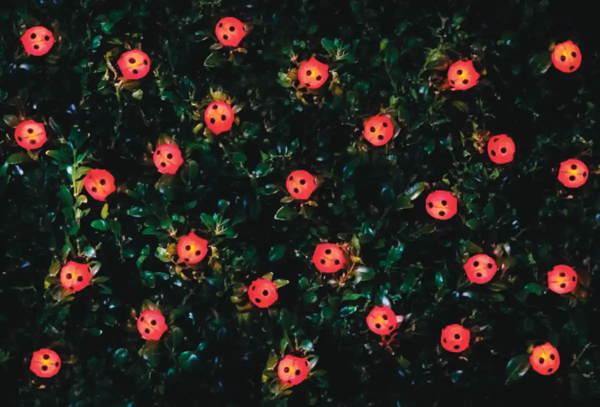 Bild 1 von Solar Lichterkette 30LED Marienkäfer