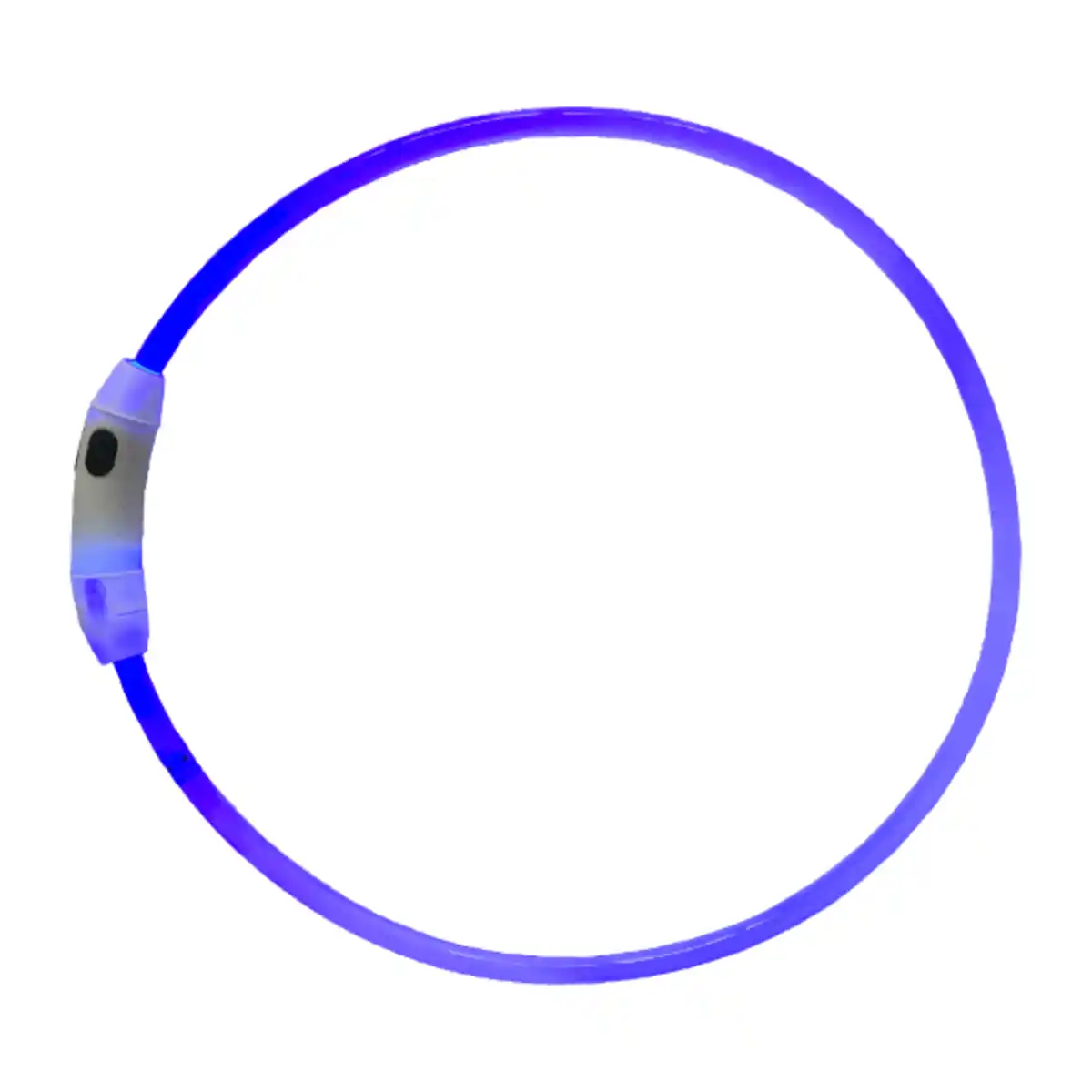 Bild 3 von ROMEO LED-Hundehalsband