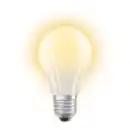 Bild 2 von OSRAM LED-Filament-Leuchtmittel