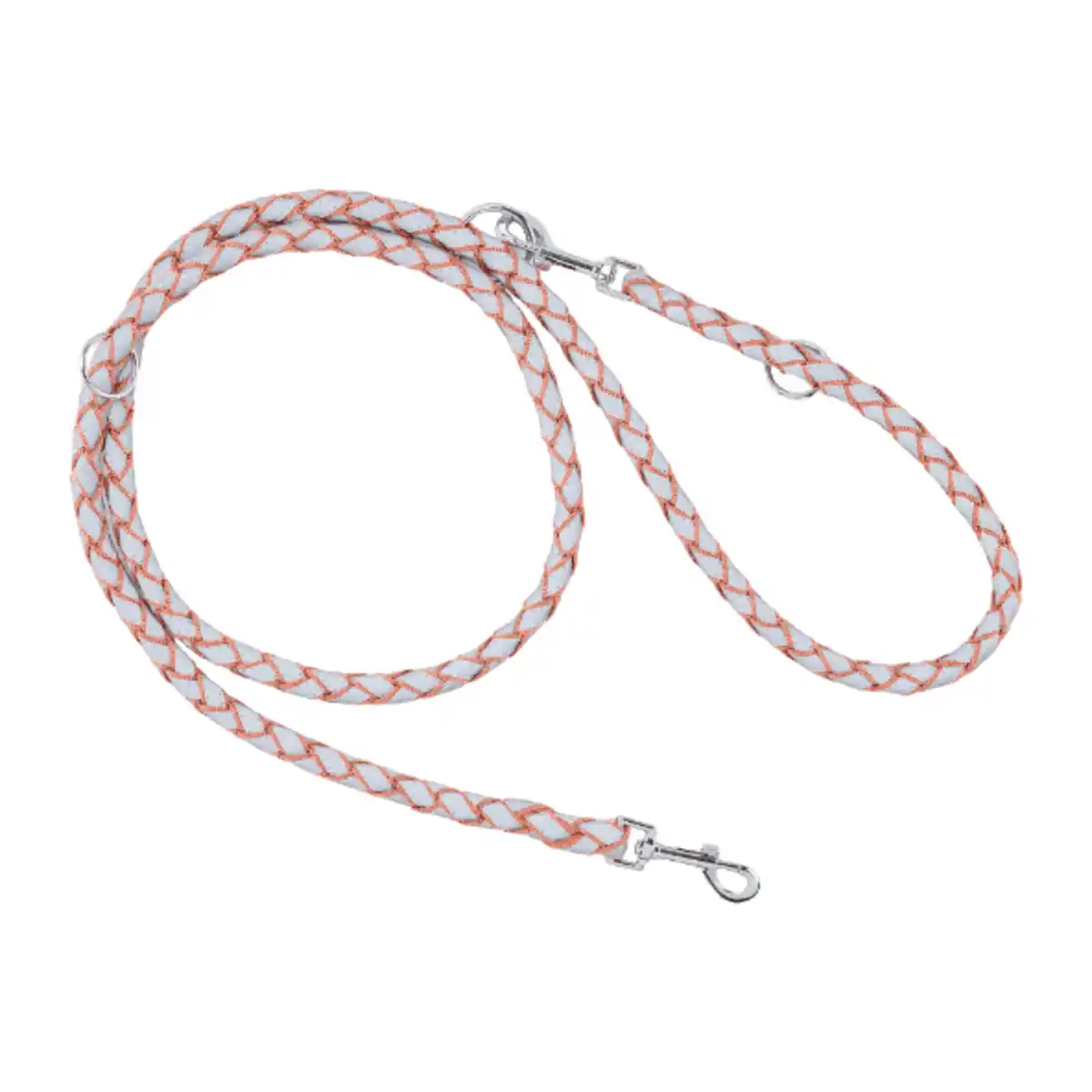 Bild 4 von ROMEO Hundeleine