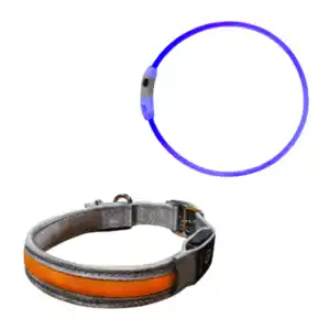 ROMEO LED-Hundehalsband