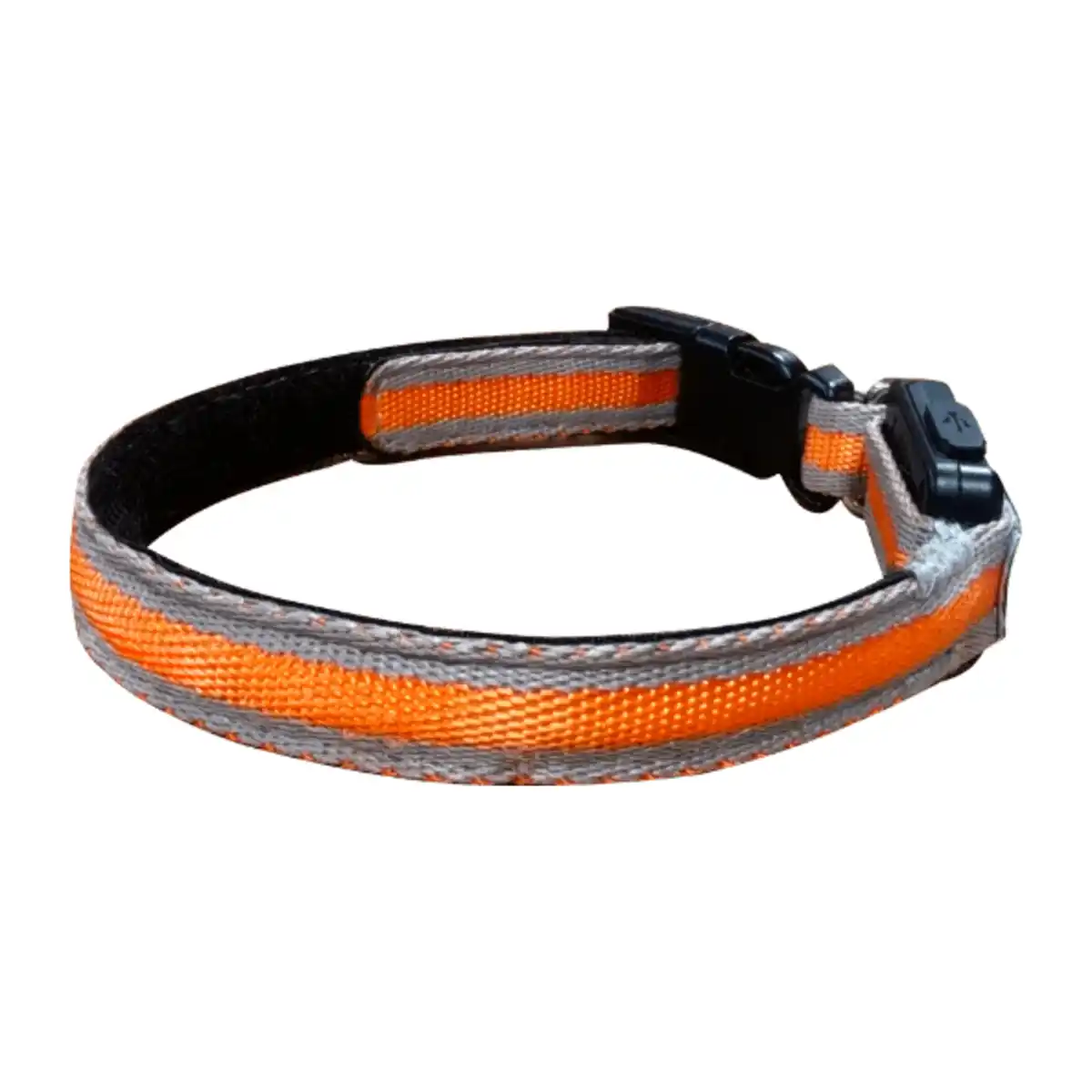 Bild 4 von ROMEO LED-Hundehalsband