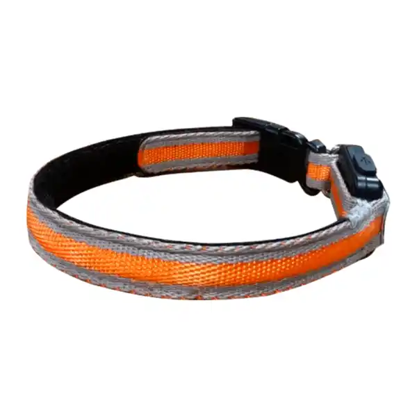 Bild 4 von ROMEO LED-Hundehalsband
