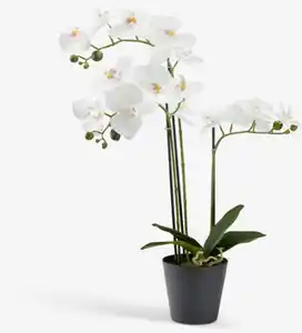 Kunstpflanze MATINUS H62cm weiß Orchidee