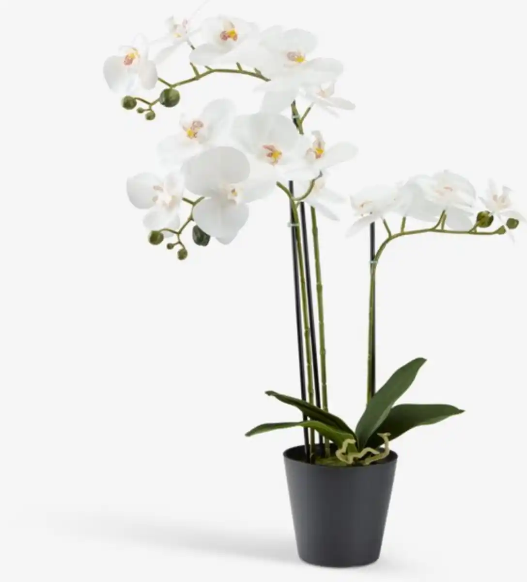 Bild 1 von Kunstpflanze MATINUS H62cm weiß Orchidee