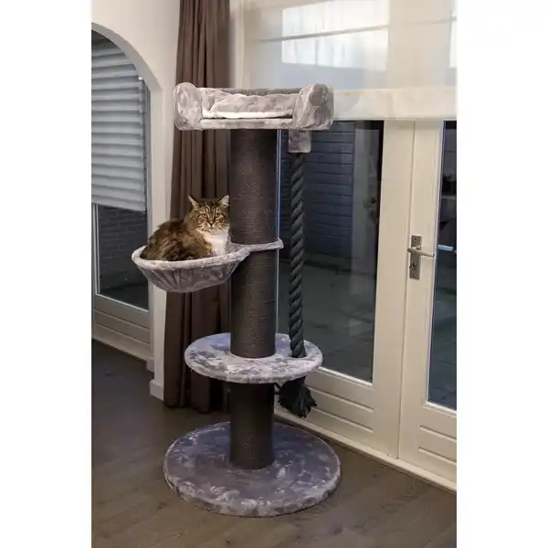 Bild 3 von Kratzbaum »Havilo«, BxHxL: 80 x 170 x 80 cm, Plüsch/Sisal