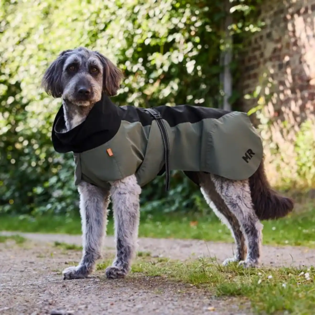 Bild 2 von MARTIN RÜTTER Hunderegenmantel