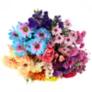 Bild 1 von Blumenstrauß Bubblegum