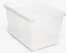 Bild 1 von Aufbewahrungsbox BASIC BOX 52L m/Deckel transparent