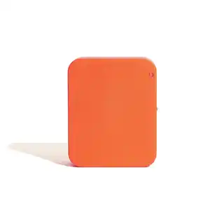 Bluetooth Bridge »XTender«, Kunststoff, orange