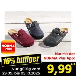 Nangaparbat Filzclogs