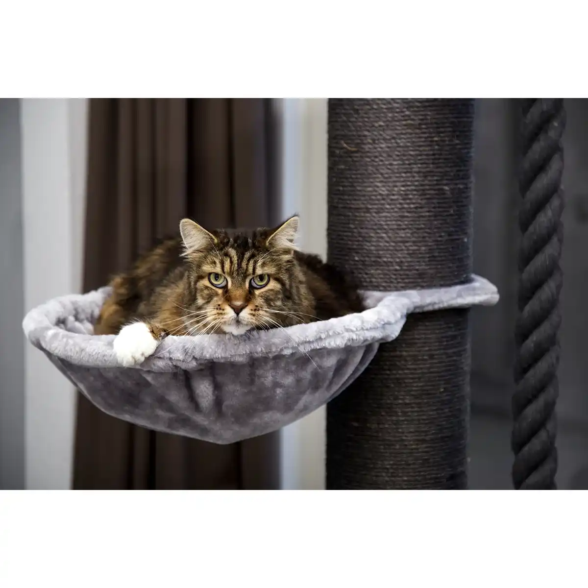 Bild 2 von Kratzbaum »Havilo«, BxHxL: 80 x 170 x 80 cm, Plüsch/Sisal