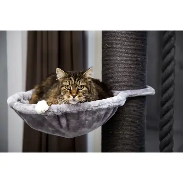 Bild 2 von Kratzbaum »Havilo«, BxHxL: 80 x 170 x 80 cm, Plüsch/Sisal