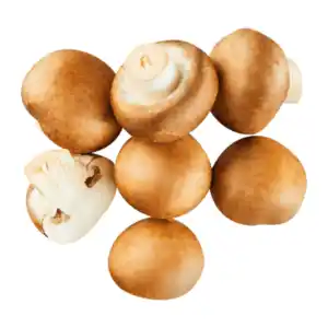 Große Kulturchampignons braun 400g