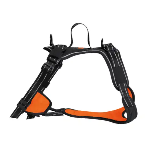 Bild 3 von MARTIN RÜTTER Hundegeschirr