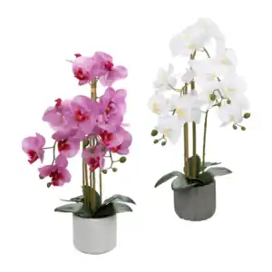 HOME CREATION Naturgetreue Orchidee