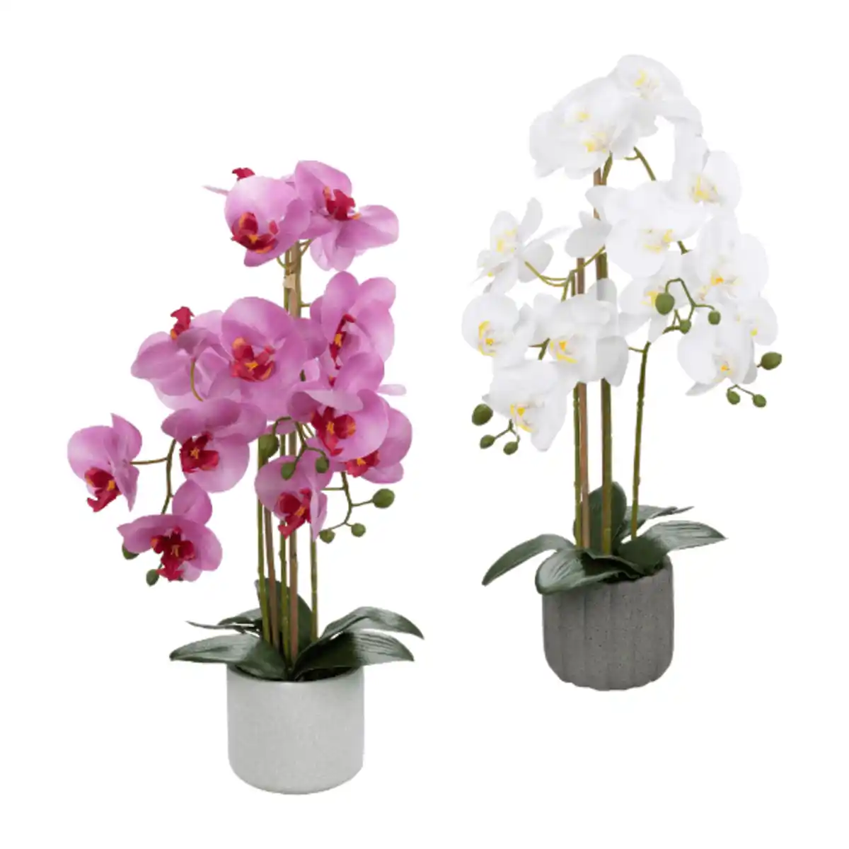 Bild 1 von HOME CREATION Naturgetreue Orchidee