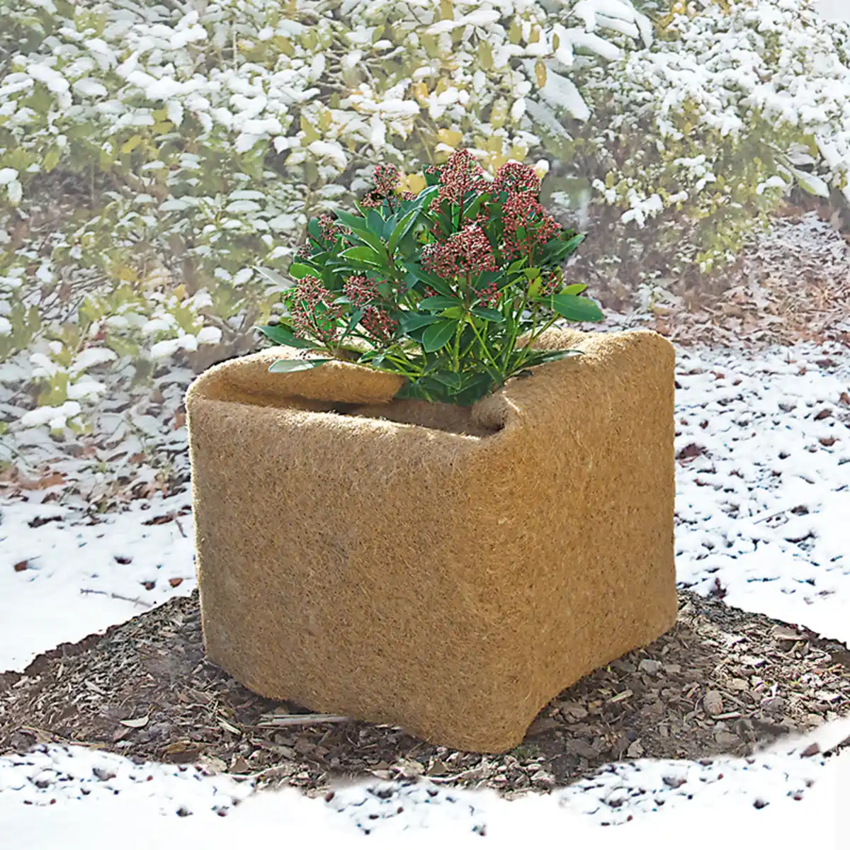 Bild 1 von Powertec Garden Kokosmatte