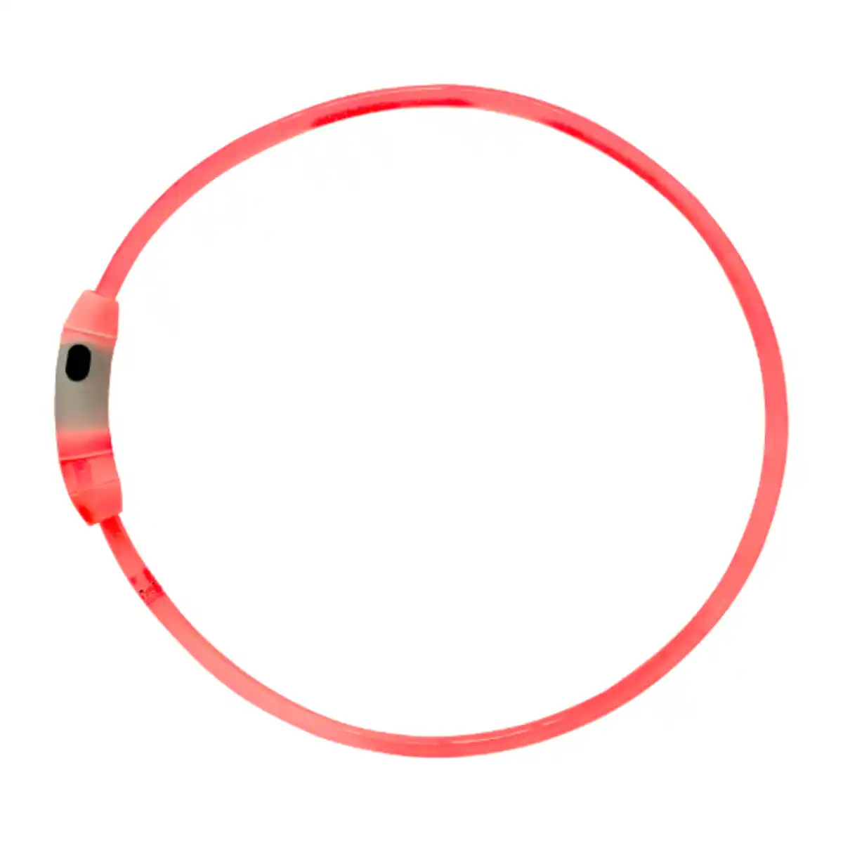 Bild 2 von ROMEO LED-Hundehalsband