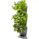 Bild 3 von GARDENA Pflanzkasten, Breite: 17 cm, grau, Kunststoff