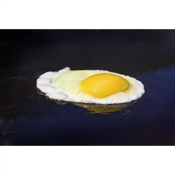 Bild 2 von CHAR-BROIL Grillplatte, Gusseisen, für Grills