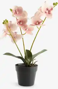 Kunstpflanze GUDJON H35cm rosa Orchidee