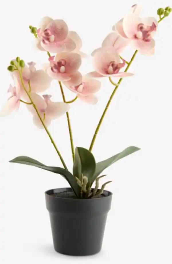 Bild 1 von Kunstpflanze GUDJON H35cm rosa Orchidee