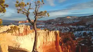 Rundreisen USA - Westküste: Grand Canyon, Yosemite & mehr: Naturwunder hautnah erleben
