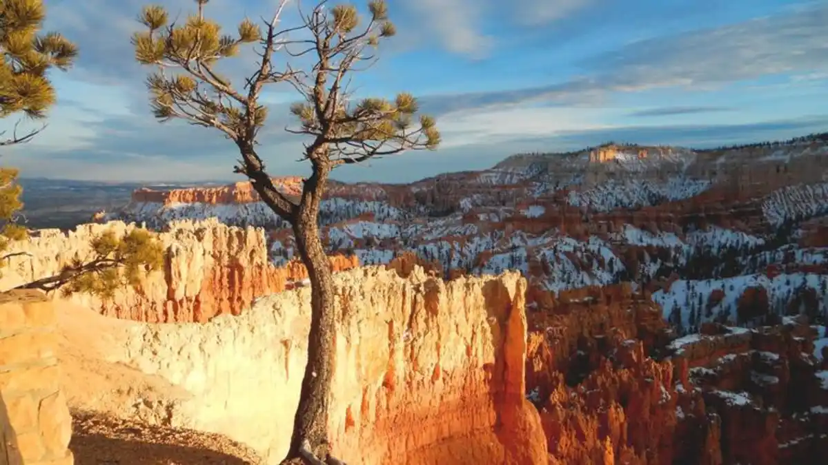 Bild 1 von Rundreisen USA - Westküste: Grand Canyon, Yosemite & mehr: Naturwunder hautnah erleben