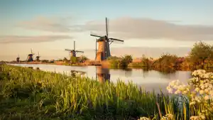 Kreuzfahrten Niederlande & Belgien: Flusskreuzfahrt per Rad & Schiff mit MS De Holland ab Amsterdam oder Brügge
